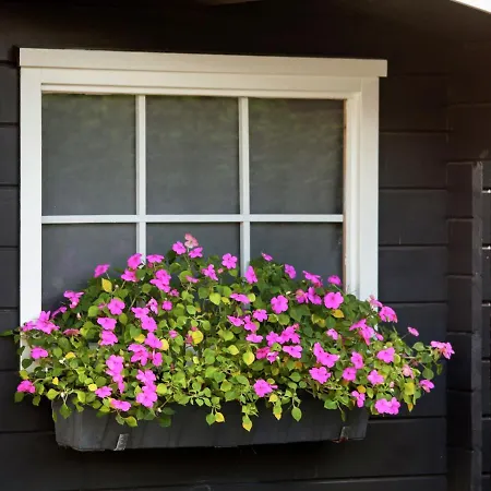 Ferienhaus Rustic Holiday In Close To Dunes *